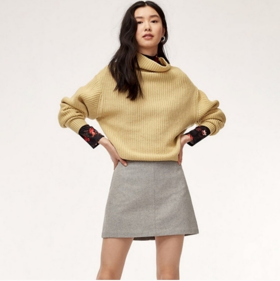 Aritzia Dresses & Skirts - Wilfred Essonne Skirt